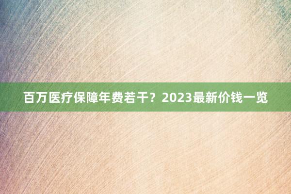 百万医疗保障年费若干？2023最新价钱一览