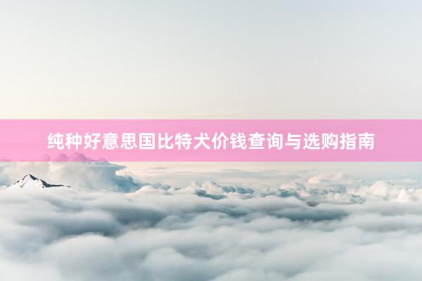 纯种好意思国比特犬价钱查询与选购指南