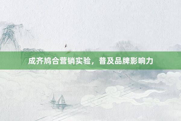 成齐鸠合营销实验，普及品牌影响力